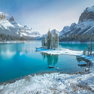 Meet your Posher, Leslie